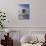 Harp Seal Pup on Ice, Iles De La Madeleine, Canada, Quebec-Keren Su-Photographic Print displayed on a wall