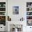 Harp Seal Pup on Ice, Iles De La Madeleine, Canada, Quebec-Keren Su-Mounted Photographic Print displayed on a wall