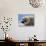 Harp Seal Pup-John Conrad-Stretched Canvas displayed on a wall