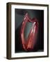 Harp-Celtic-Framed Giclee Print