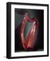 Harp-Celtic-Framed Giclee Print