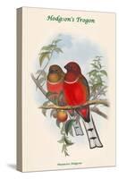 Harpactes Hodgsoni-John Gould-Stretched Canvas