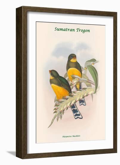 Harpactes Mackloti-John Gould-Framed Art Print