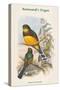 Harpactes Reinwardti-John Gould-Stretched Canvas