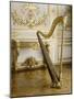 Harpe à pédales dite "harpe perpendiculaire"-Thomas Dodd-Mounted Giclee Print