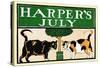 Harper's July-Edward Penfield-Stretched Canvas