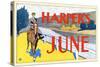 Harper's June-Edward Penfield-Stretched Canvas