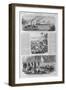 Harper's Weekly Article on War in Paraguay-null-Framed Giclee Print