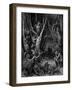 Harpies, Legendary Creatures-Science Source-Framed Giclee Print