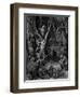 Harpies, Legendary Creatures-Science Source-Framed Giclee Print