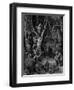 Harpies, Legendary Creatures-Science Source-Framed Giclee Print