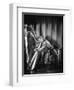 Harpo Marx-null-Framed Photographic Print