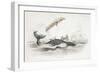 Harpooning a Greenland Whale Which Has Tossed One of the Attacking Boats, 1837-William Jardine-Framed Giclee Print