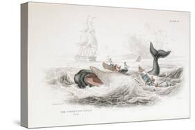 Harpooning a Sperm Whale, 1837-William Jardine-Stretched Canvas