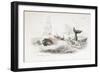 Harpooning a Sperm Whale, 1837-William Jardine-Framed Giclee Print