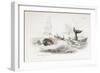 Harpooning a Sperm Whale, 1837-William Jardine-Framed Giclee Print