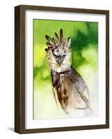 Harpy Eagle-Spencer Williams-Framed Giclee Print