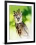 Harpy Eagle-Spencer Williams-Framed Giclee Print