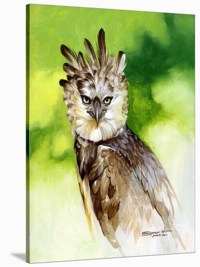 Harpy Eagle-Spencer Williams-Stretched Canvas