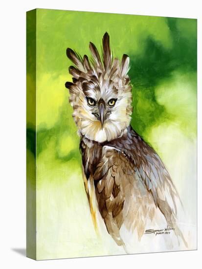 Harpy Eagle-Spencer Williams-Stretched Canvas