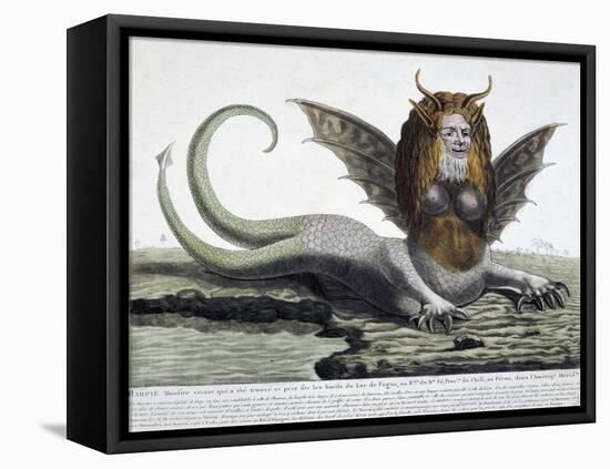 Harpy, Monster Found on Shores of Lake Fagua in Chile, 1784, Print-null-Framed Stretched Canvas
