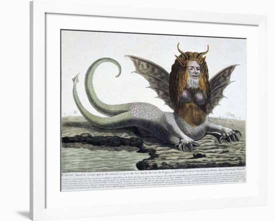 Harpy, Monster Found on Shores of Lake Fagua in Chile, 1784, Print-null-Framed Giclee Print