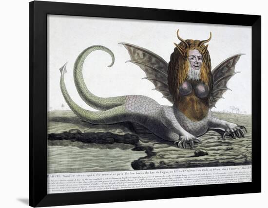 Harpy, Monster Found on Shores of Lake Fagua in Chile, 1784, Print-null-Framed Giclee Print