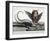 Harpy, Monster Found on Shores of Lake Fagua in Chile, 1784, Print-null-Framed Giclee Print