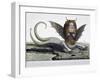 Harpy, Monster Found on Shores of Lake Fagua in Chile, 1784, Print-null-Framed Giclee Print