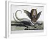 Harpy, Monster Found on Shores of Lake Fagua in Chile, 1784, Print-null-Framed Giclee Print