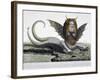 Harpy, Monster Found on Shores of Lake Fagua in Chile, 1784, Print-null-Framed Giclee Print