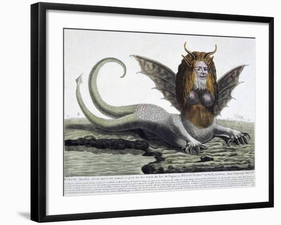 Harpy, Monster Found on Shores of Lake Fagua in Chile, 1784, Print-null-Framed Giclee Print