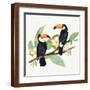 Brown Frame
