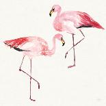 Tropical Fun Bird III-Harriet Sussman-Framed Art Print