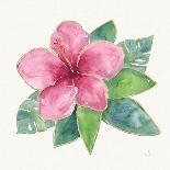 Tropical Fun Flowers IV-Harriet Sussman-Art Print