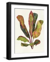 Harriets Elements 11-Wild Apple Portfolio-Framed Art Print