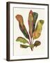 Harriets Elements 11-Wild Apple Portfolio-Framed Art Print