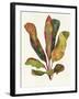 Harriets Elements 11-Wild Apple Portfolio-Framed Art Print