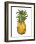 Harriets Pineapple I-Wild Apple Portfolio-Framed Art Print