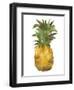 Harriets Pineapple I-Wild Apple Portfolio-Framed Art Print