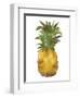 Harriets Pineapple I-Wild Apple Portfolio-Framed Art Print