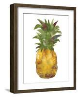 Harriets Pineapple I-Wild Apple Portfolio-Framed Art Print