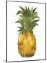 Harriets Pineapple I-Wild Apple Portfolio-Mounted Art Print