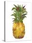 Harriets Pineapple I-Wild Apple Portfolio-Stretched Canvas