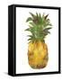 Harriets Pineapple I-Wild Apple Portfolio-Framed Stretched Canvas