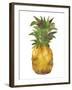 Harriets Pineapple I-Wild Apple Portfolio-Framed Art Print