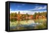 Harriman Pond-Robert Goldwitz-Framed Stretched Canvas