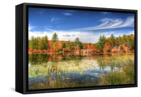 Harriman Pond-Robert Goldwitz-Framed Stretched Canvas