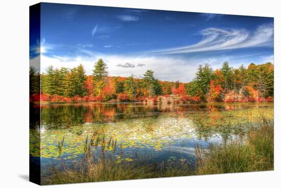 Harriman Pond-Robert Goldwitz-Stretched Canvas