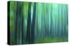 Harriman Woods III-James McLoughlin-Stretched Canvas